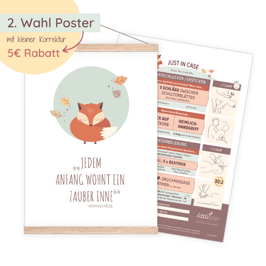 littlefox Erste-Hilfe-Poster (2. Wahl)