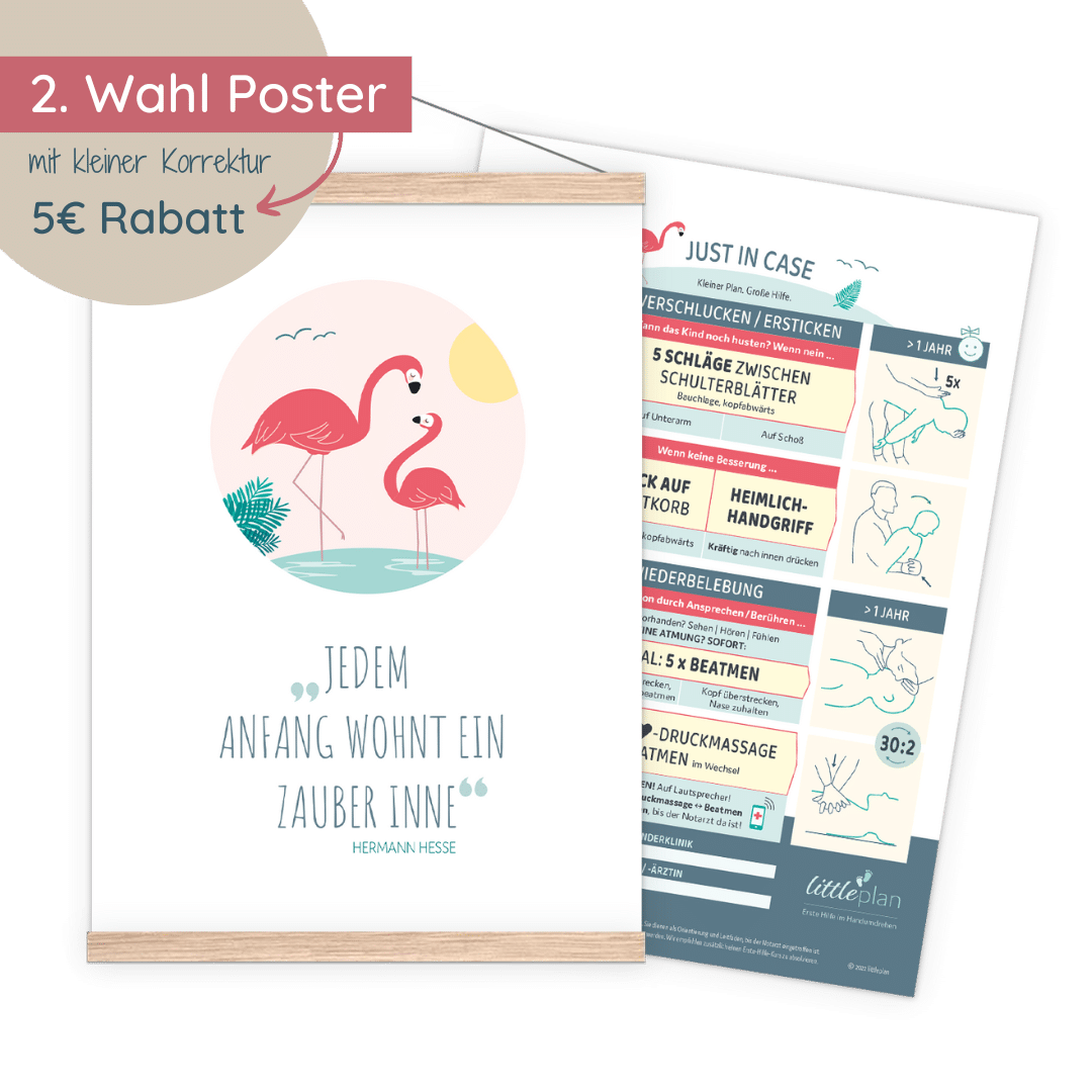 littleflamingo Erste-Hilfe-Poster (2. Wahl)