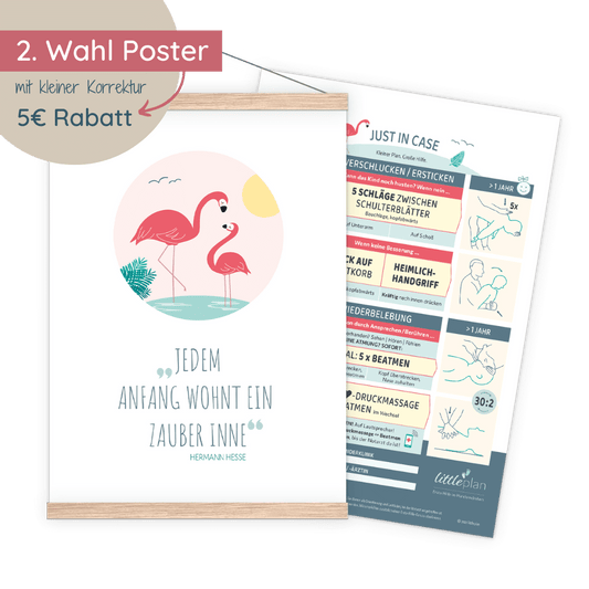 littleflamingo Erste-Hilfe-Poster (2. Wahl)